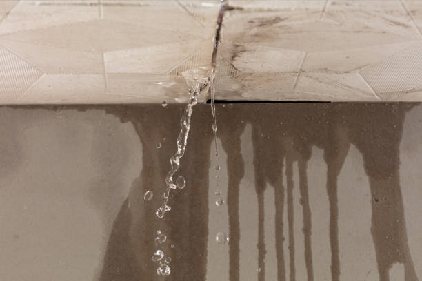 Professional Water Extraction technician working in Millington, MI